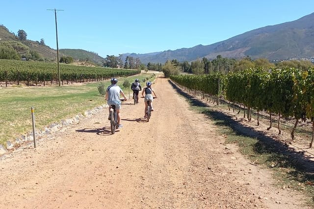 Franschhoek Shared E-Bike and Wine Tour - Photo 1 of 7